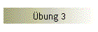 Übung 3